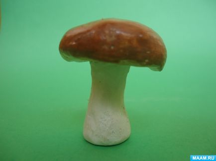 Виготовлення муляжів грибів з глини