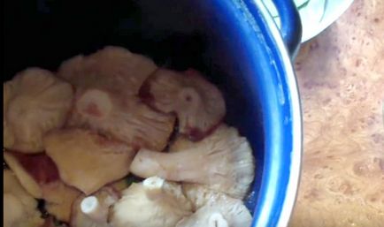 Cum se prepară fotografii și rețete pentru gătitul de ciuperci pentru iarnă prin decapare și decapare