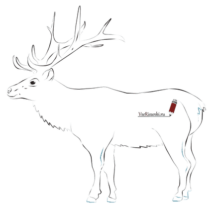 Як намалювати оленя з саньми поетапно - як намалювати сани Діда Мороза олівцем поетапно