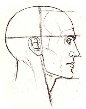 Як намалювати портрет олівцем, побудова голови