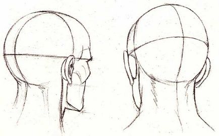 Cum de a desena un portret cu un creion, construind un cap