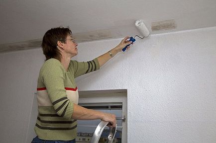 Cum să scutiți regulile de reparare a apartamentelor altcuiva într-o casă închiriată, o casă