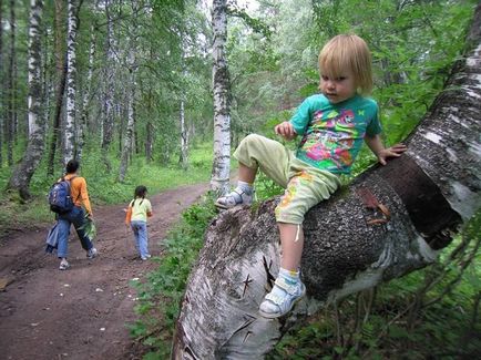 Як організувати відпочинок з дитиною в лісі