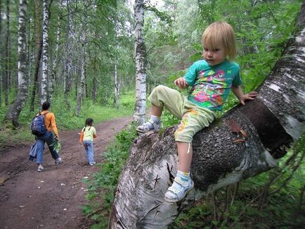 Cum să organizați o vacanță cu un copil în pădure