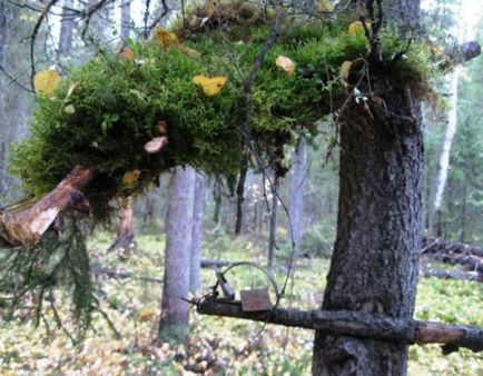 Cum de a prinde martens în casă