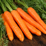 Як правильно виростити моркву у відкритому грунті