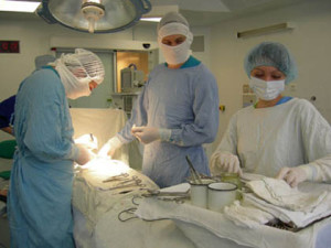 Hogyan fejti ki több ciszta a vese és mit kell csinálni velük (többszörös ciszták vese tünetek diagnózis kezelés) Hogyan fejti ki több ciszta a vese és mit kell csinálni velük