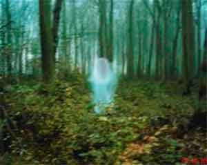Cum să recunoască un oaspete din alte lumi, semnele prezenței unei fantome, porțile cerești