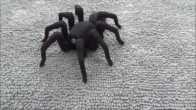 Як зробити робота павука в домашніх умовах