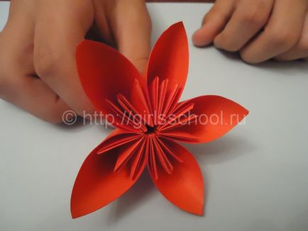 Як зробити квітковий куля з паперу своїми руками, кусудама для початківців, жіноча школа