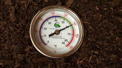 Cum să faci un compost bun de ciuperci în loc să cumperi un compost de ciuperci, ciuperci petrecute