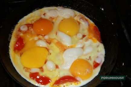 Cum se face un gălbenuș de ouă de pui portocaliu