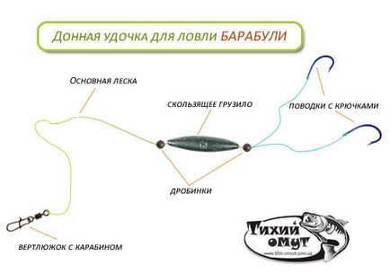 Hogyan lehet lekötni egy kötelet elkapni fattyúmakréla halászati ​​stavridki a Fekete-tengeren