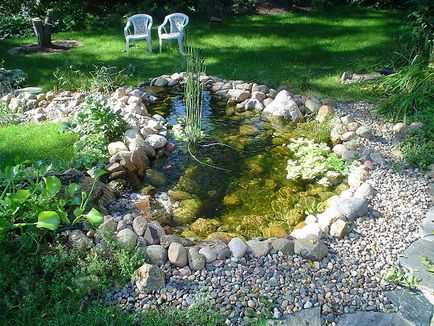 Як влаштувати в саду декоративна водойма поради профі красиві ідеї