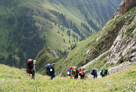 Hogyan válasszuk ki a turisztikai kerozin tűzhely - primus gáz turista - Tippek