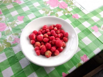 Amint elhagyott vezető részét annak érdekében, 6 ar