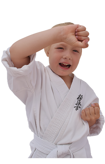 Karate pentru copii