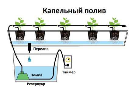 Căpșuni în țevi metoda economică de cultivare