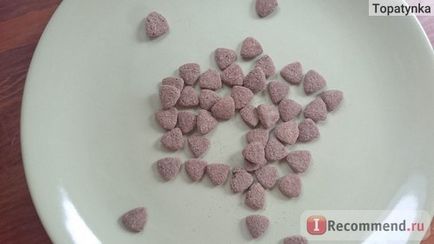 Корм для кішок best friend bilanx sterilized - «моєму коту не підійшов», відгуки покупців