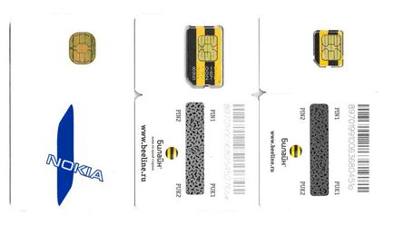 Sapa în procesorul sim card, memoria, sistemul de fișiere i