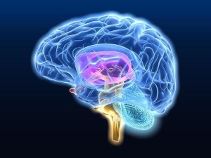 Лікування спазму судин головного мозку таблетками