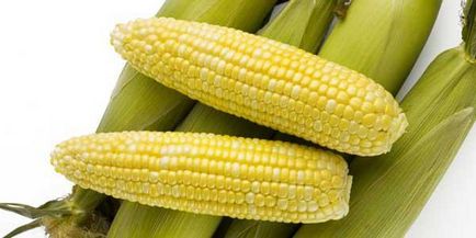 Кращі сорти кукурудзи фото, опис