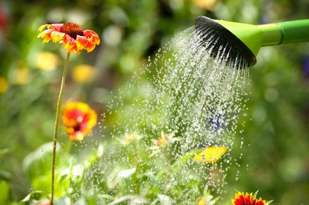 Calendarul lunar al horticulturistului horticol pentru anul 2017 de zile, luni, grădină, plante de interior,