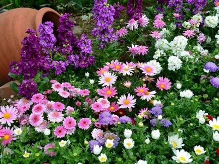 Calendarul lunar al horticulturistului horticol pentru anul 2017 de zile, luni, grădină, plante de interior,