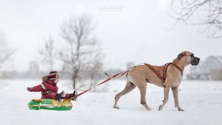 Copiii mici și câinii lor mari