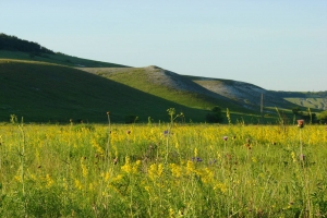 Крейдяні гори Дворічанського району, харківська область