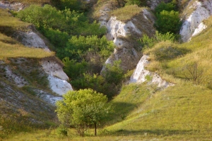 Крейдяні гори Дворічанського району, харківська область