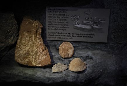 Miliarde ani î.Hr., când a apărut Marea Baltică
