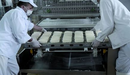 Organizarea afacerilor cu produse lactate a unei mini-fabrici pentru producția de brânză de vaci