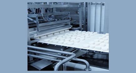 Organizarea afacerilor cu produse lactate a unei mini-fabrici pentru producția de brânză de vaci