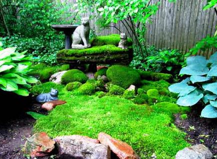 Moss în grădină
