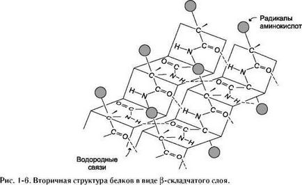 Örökletes nye proteopathy sarlósejtes vérszegénység, más példák (egyéb) Örökletes nye proteopathy sarlósejtes vérszegénység, más példák