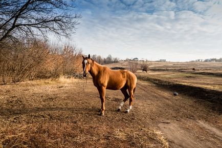 Несподіваний Воргол, фотоблог - світ подорожей