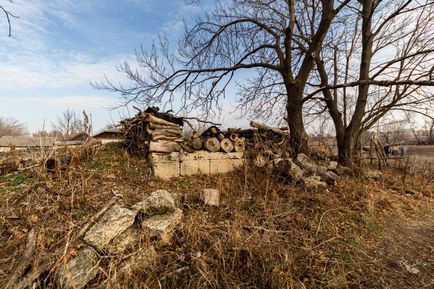 Vibolă neașteptată, fotoblog - lumea călătoriilor