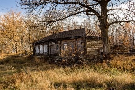 Vibolă neașteptată, fotoblog - lumea călătoriilor