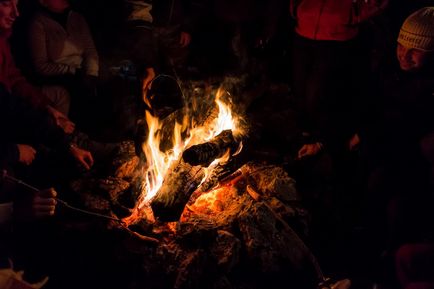 Vibolă neașteptată, fotoblog - lumea călătoriilor