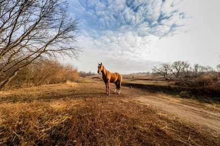 Несподіваний Воргол, фотоблог - світ подорожей