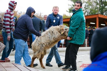 Нова жертва