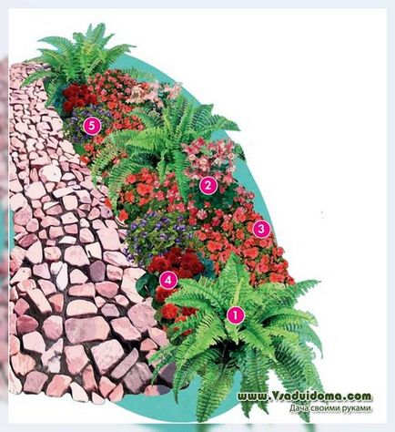 Обрамлення доріжки квітами - схема посадок квіткового бордюру, сайт про сад, дачі і кімнатних