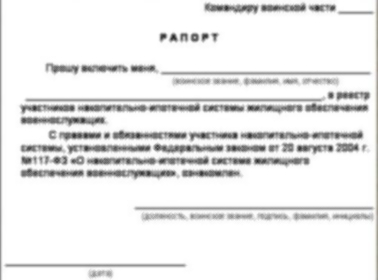 Зразок рапорту на участь в НІС