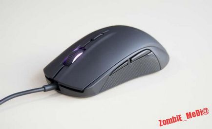 Prezentarea generală a steelseries rival 100 nu este cel mai simplu mouse de joc