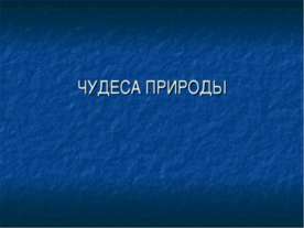 Оформлення куточка природи - презентація для початкової школи