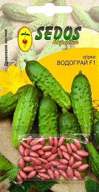 Castraveți - apă de băutură f1 - tm - sedos - 45-55pcs - semințe de legume - cumpăra în Odessa,