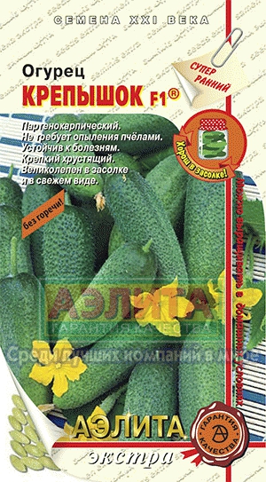 Огірок крепишок f1 купити насіння огірків оптом оптом і в роздріб від виробника