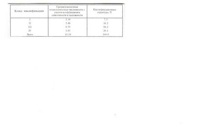 Determinarea numărului și calificării unei echipe integrate