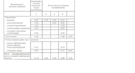 Determinarea numărului și calificării unei echipe integrate